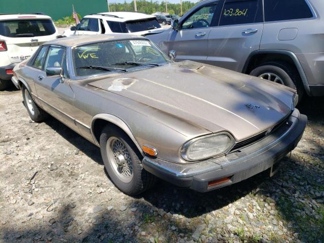 JAGUAR XJS CLASSI 1991 with VIN SAJTW5847MC179630 - Photo from auction