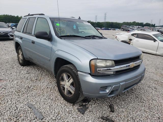 CHEVROLET TRAILBLAZE 2006 with VIN 1GNDS13S562343101 - Photo from auction