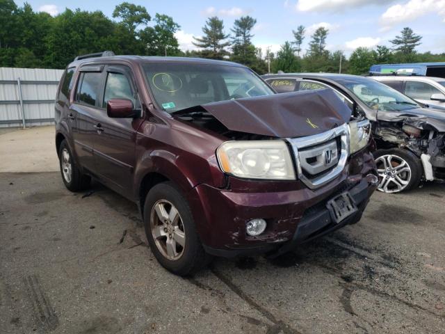 HONDA PILOT EXL 2009 with VIN 5FNYF48529B004851 - Photo from auction