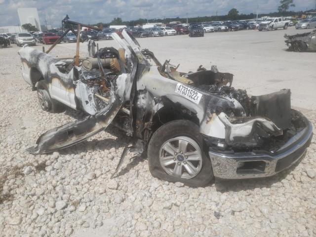 FORD F150 2019 with VIN 1FTMF1C5XKKD38509 - Photo from auction