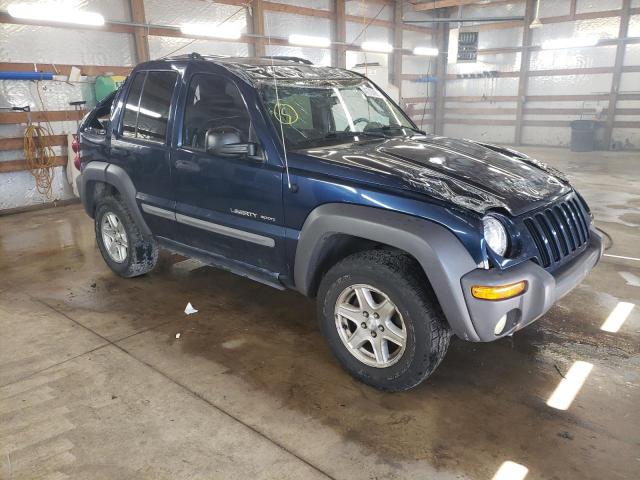 JEEP LIBERTY SP 2002 with VIN 1J4GL48KX2W317359 - Photo from auction