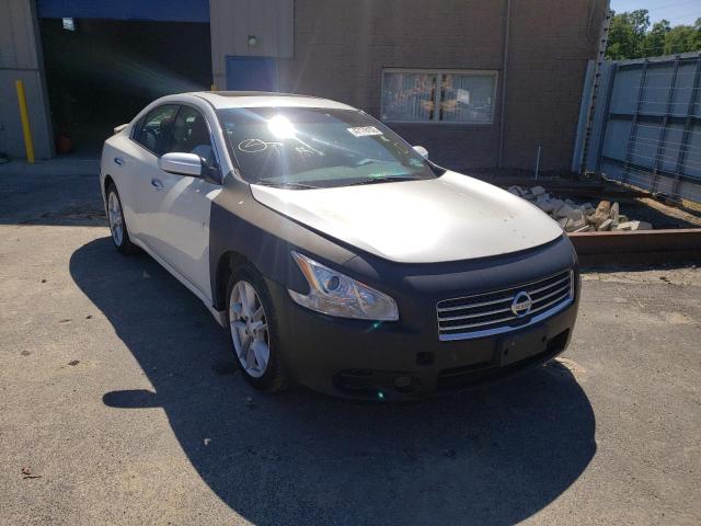 NISSAN MAXIMA S 2009 with VIN 1N4AA51E29C851128 - Photo from auction