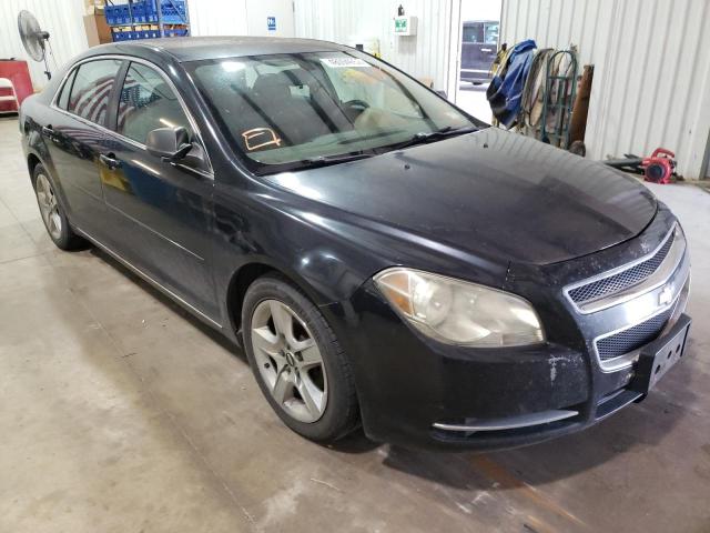CHEVROLET MALIBU 1LT 2010 with VIN 1G1ZC5EB5AF181013 - Photo from auction