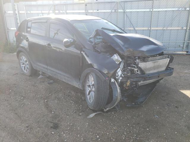 KIA SPORTAGE L 2016 with VIN KNDPBCAC2G7817524 - Photo from auction