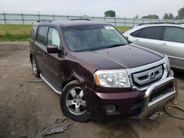 HONDA PILOT EXL 2009 with VIN 5FNYF48549B048365 - Photo from auction
