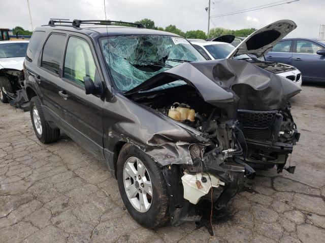 FORD ESCAPE XLT 2007 with VIN 1FMCU03197KB51032 - Photo from auction