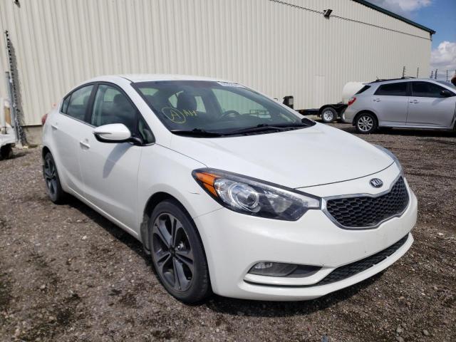 KIA FORTE EX 2014 with VIN KNAFX4A88E5184807 - Photo from auction