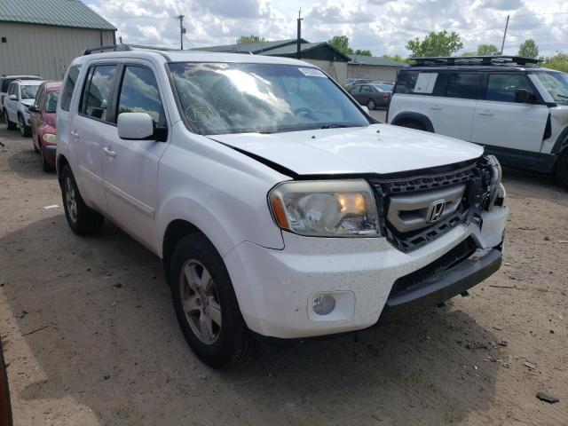 HONDA PILOT EXLN 2011 with VIN 5FNYF4H77BB094599 - Photo from auction