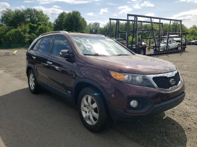 KIA SORENTO LX 2013 with VIN 5XYKTDA68DG317003 - Photo from auction