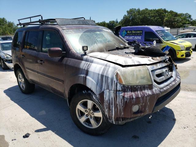 HONDA PILOT EX 2009 with VIN 5FNYF484X9B010548 - Photo from auction
