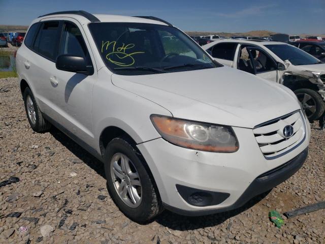 HYUNDAI SANTA FE 2010 с VIN 5NMSGDAB4AH343116 - Фото с аукциона