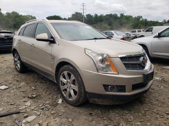 CADILLAC SRX PREMIU 2010 with VIN 3GYFNFEY7AS586178 - Photo from auction
