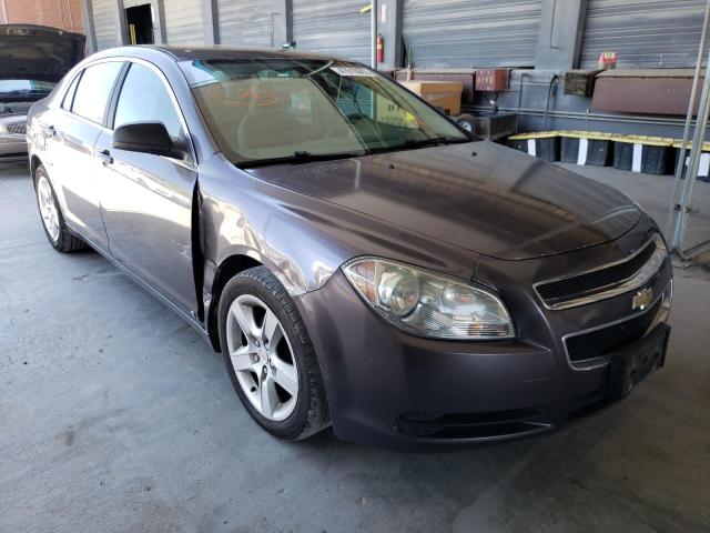 CHEVROLET MALIBU LS 2010 with VIN 1G1ZA5EB9A4124539 - Photo from auction