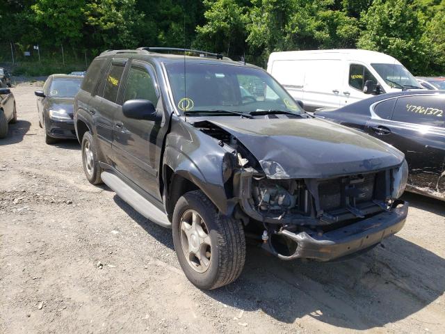 CHEVROLET TRAILBLAZE 2008 with VIN 1GNDT13S782167474 - Photo from auction