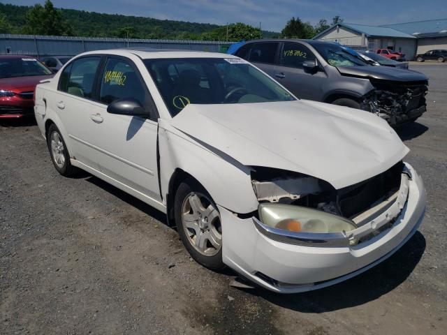 CHEVROLET MALIBU LT 2004 with VIN 1G1ZU54824F163429 - Photo from auction
