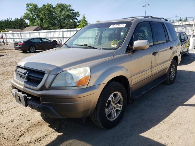 Photo 2 from auction – 2005 HONDA PILOT EXL with VIN 5FNYF186X5B006767