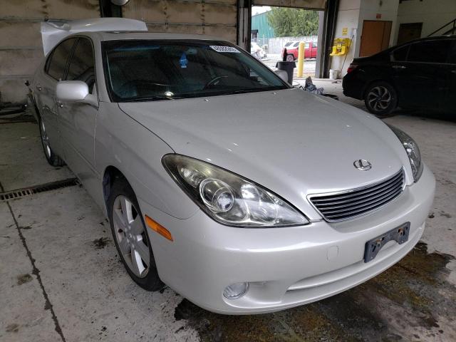 LEXUS ES 330 2006 with VIN JTHBA30G565162432 - Photo from auction
