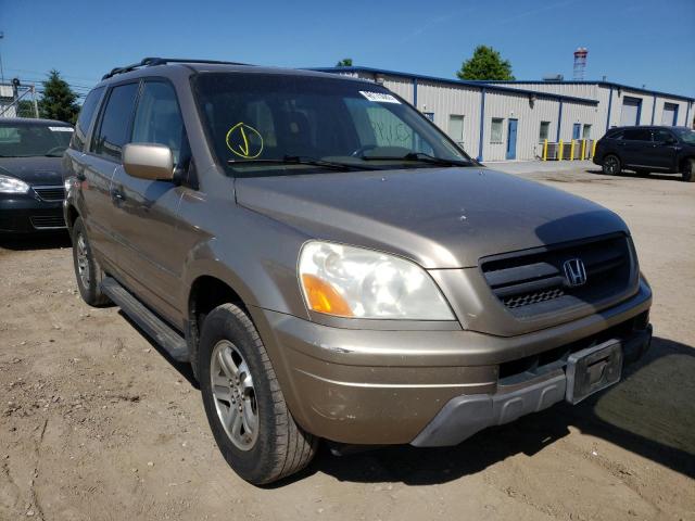 HONDA PILOT EXL 2005 with VIN 5FNYF186X5B006767 - Photo from auction