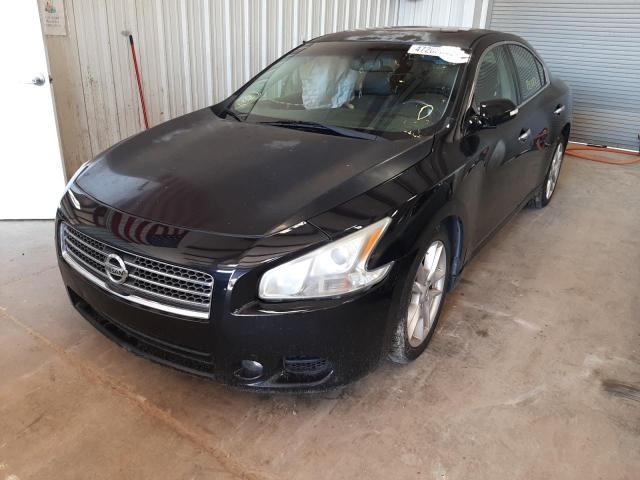 Photo 2 from auction – 2009 NISSAN MAXIMA S with VIN 1N4AA51EX9C811072
