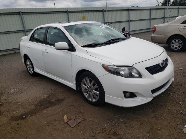 TOYOTA COROLLA BA 2010 with VIN 2T1BU4EE2AC318251 - Photo from auction