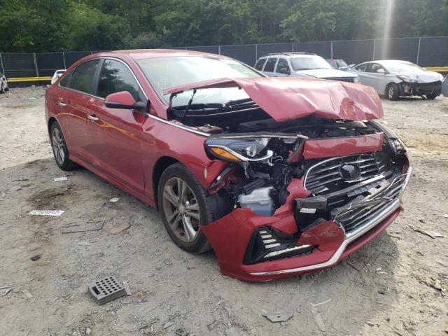 HYUNDAI SONATA SPO 2018 with VIN 5NPE34AF2JH623969 - Photo from auction