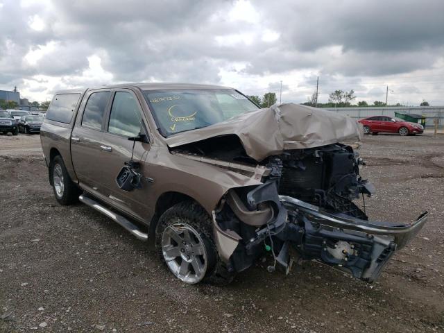 DODGE RAM 1500 2009 with VIN 1D3HV13T09J505115 - Photo from auction