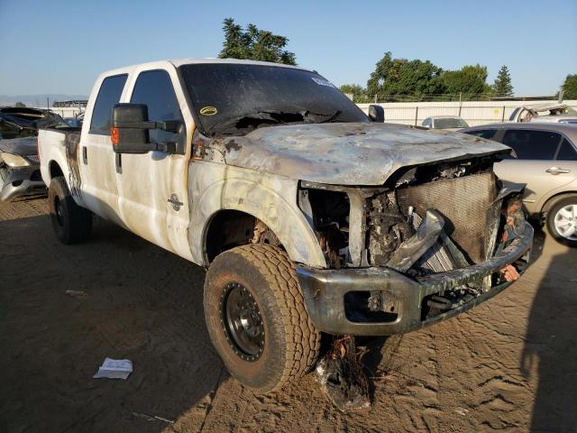 FORD F250 SUPER 2011 with VIN 1FT7W2BT8BEB89499 - Photo from auction