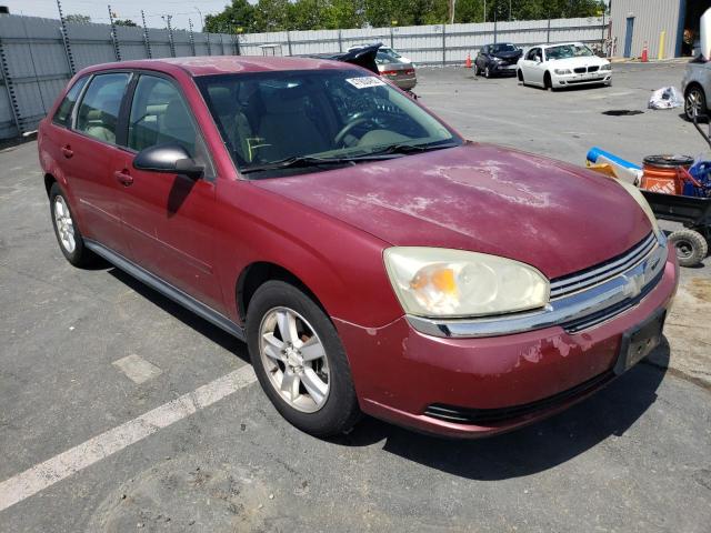 CHEVROLET MALIBU MAX 2004 with VIN 1G1ZT64834F209200 - Photo from auction