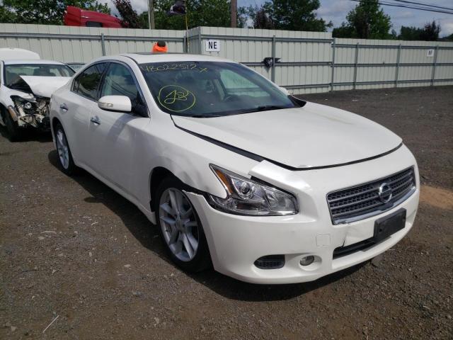 NISSAN MAXIMA S 2010 with VIN 1N4AA5AP4AC869085 - Photo from auction