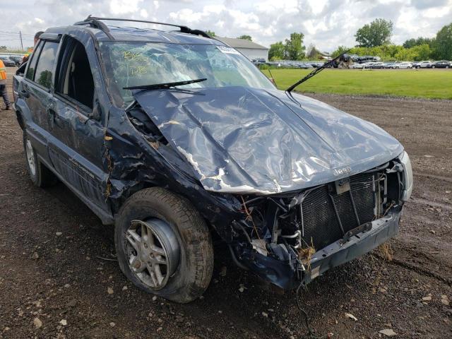 JEEP GRAND CHER 2004 with VIN 1J4GW48S74C142855 - Photo from auction