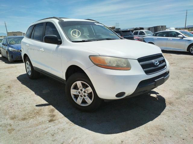 HYUNDAI SANTA FE G 2009 with VIN 5NMSG13D09H287782 - Photo from auction