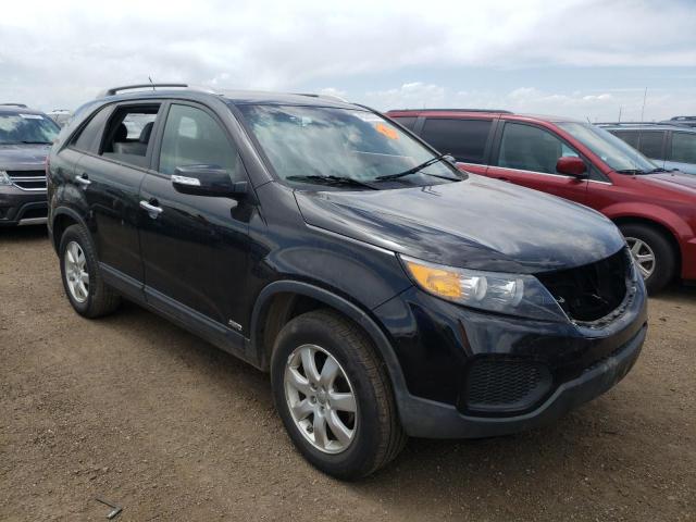 KIA SORENTO LX 2013 with VIN 5XYKTDA24DG336550 - Photo from auction