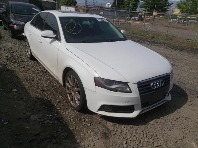 AUDI A4 PREMIUM 2010 with VIN WAUFFAFL5AN063225 - Photo from auction