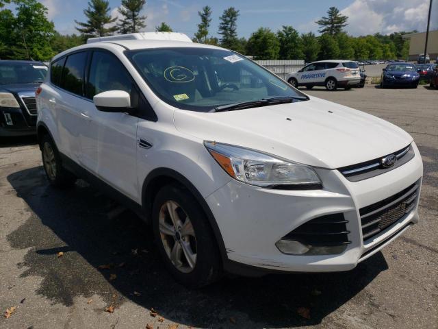 FORD ESCAPE SE 2014 with VIN 1FMCU0GX3EUD66888 - Photo from auction