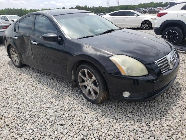 NISSAN MAXIMA SE 2006 with VIN 1N4BA41E96C819898 - Photo from auction
