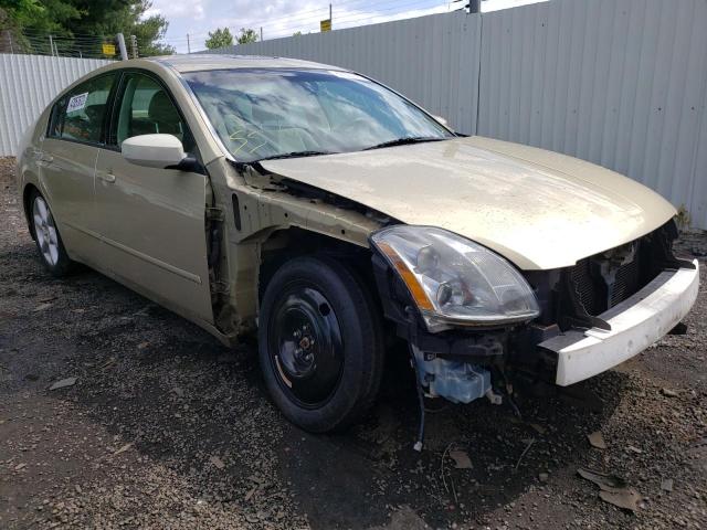 NISSAN MAXIMA SE 2004 with VIN 1N4BA41E74C870569 - Photo from auction