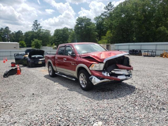 DODGE RAM 1500 2009 with VIN 1D3HB13T79S710871 - Photo from auction