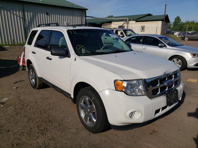 FORD ESCAPE XLT 2012 with VIN 1FMCU0D77CKA29203 - Photo from auction
