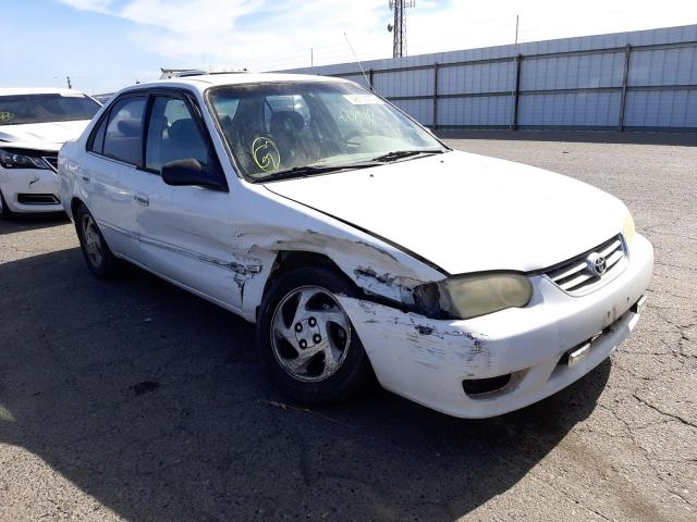 TOYOTA COROLLA CE 2001 with VIN 1NXBR12E31Z518929 - Photo from auction