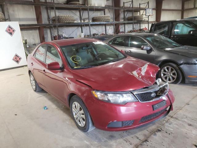 Photo 1 from auction – 2011 KIA FORTE EX with VIN KNAFU4A27B5462581
