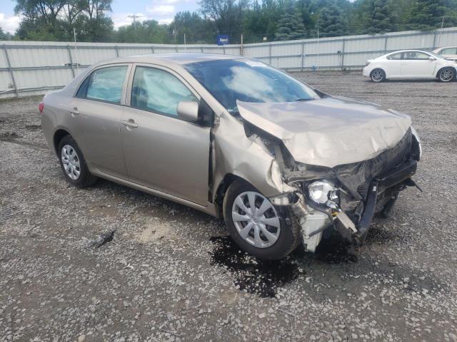 TOYOTA COROLLA BA 2009 with VIN 1NXBU40E69Z127336 - Photo from auction