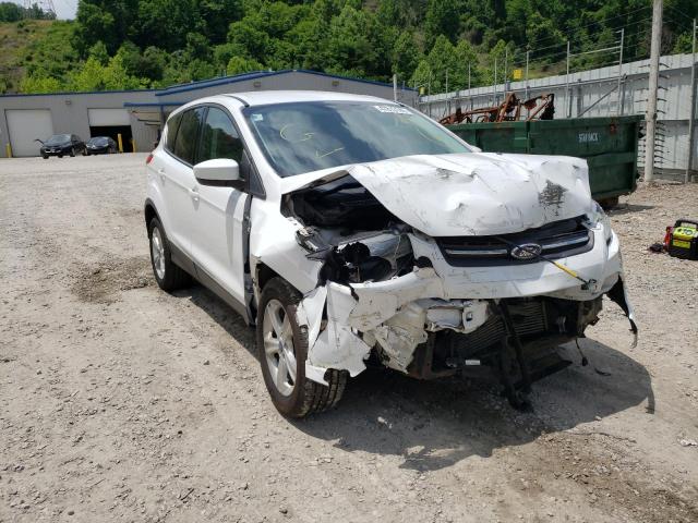 Photo 9 from auction – 2014 FORD ESCAPE SE with VIN 1FMCU9GX2EUD88577