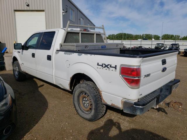Photo 3 from auction – 2011 FORD F150 SUPER with VIN 1FTFW1ET4BKD63460