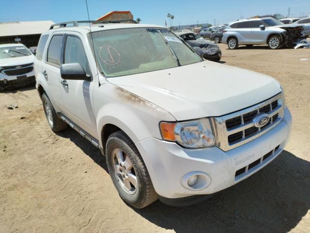 FORD ESCAPE XLT 2011 with VIN 1FMCU0DG0BKA07252 - Photo from auction