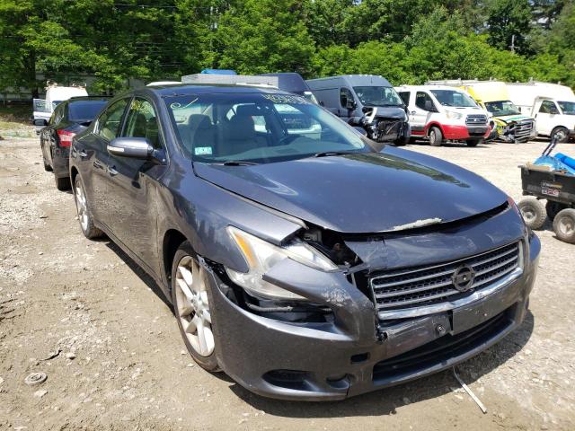 NISSAN MAXIMA S 2009 with VIN 1N4AA51E59C861135 - Photo from auction