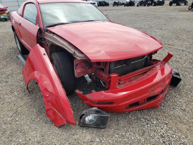 Photo 9 from auction – 2007 FORD MUSTANG with VIN 1ZVFT80N875267540