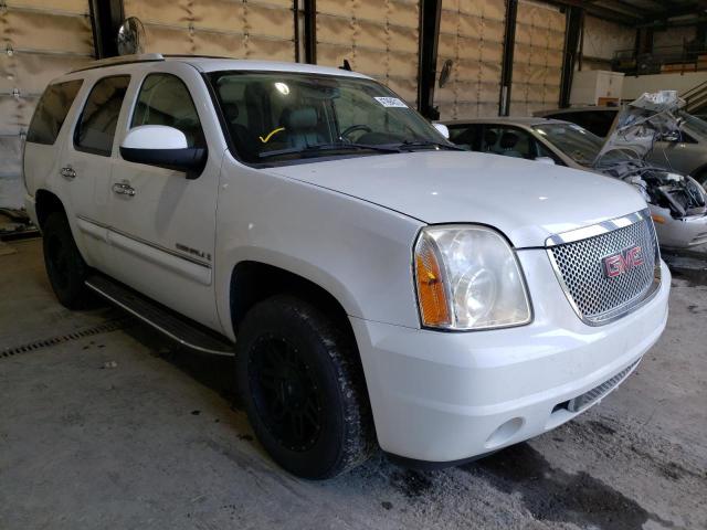 GMC YUKON DENA 2008 with VIN 1GKFK63828J156673 - Photo from auction