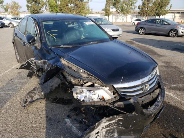 HONDA ACCORD 2011 with VIN 1HGCP2F62BA150920 - Photo from auction