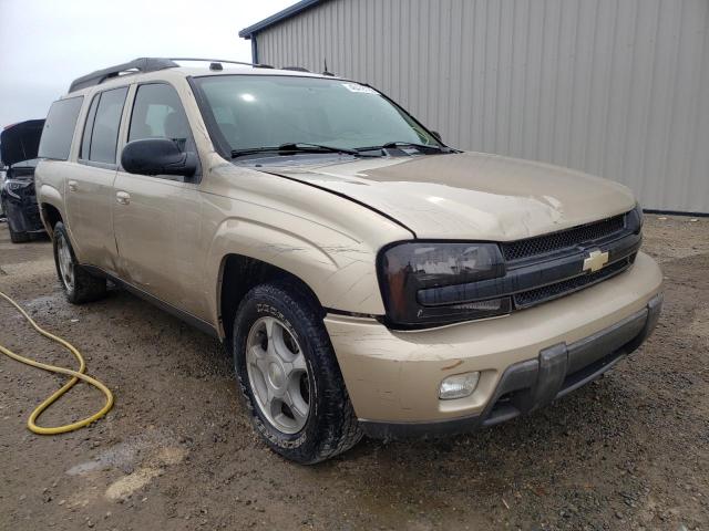 CHEVROLET TRAILBLAZE 2005 with VIN 1GNET16S456161068 - Photo from auction