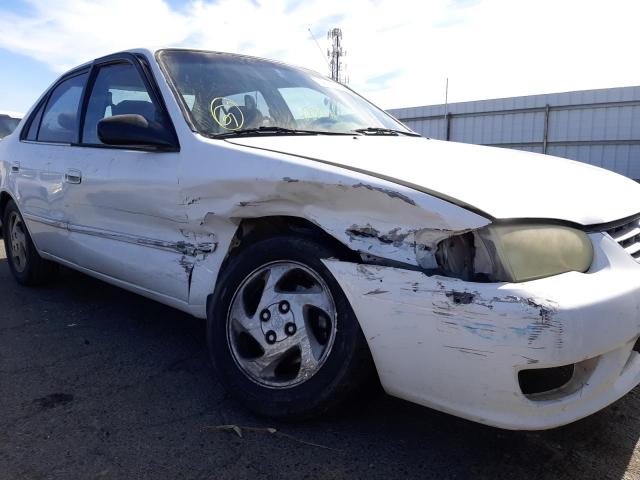 Photo 9 from auction – 2001 TOYOTA COROLLA CE with VIN 1NXBR12E31Z518929
